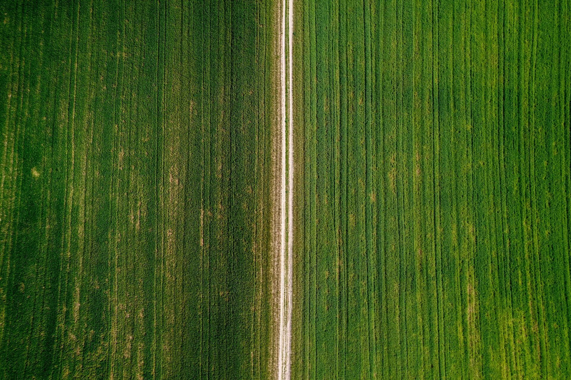 Aerial view of RIC farmland